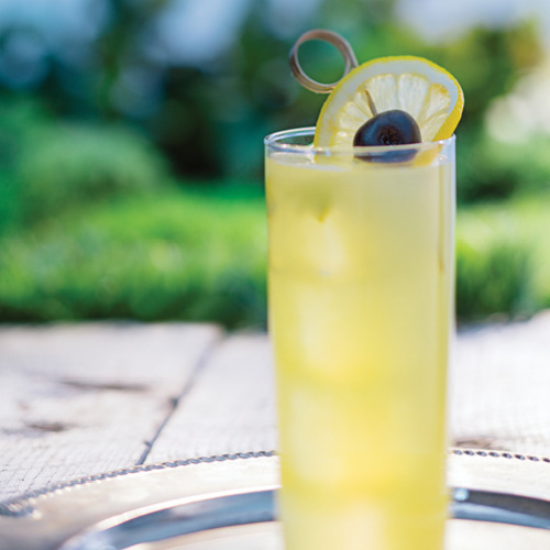 MyNSLC The Tom Collins