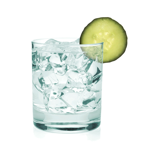 MyNSLC Skinny Cucumber Cocktail with Skinnygirl Cucumber Vodka and soda