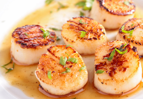 Broiled parmesan crusted sea scallops