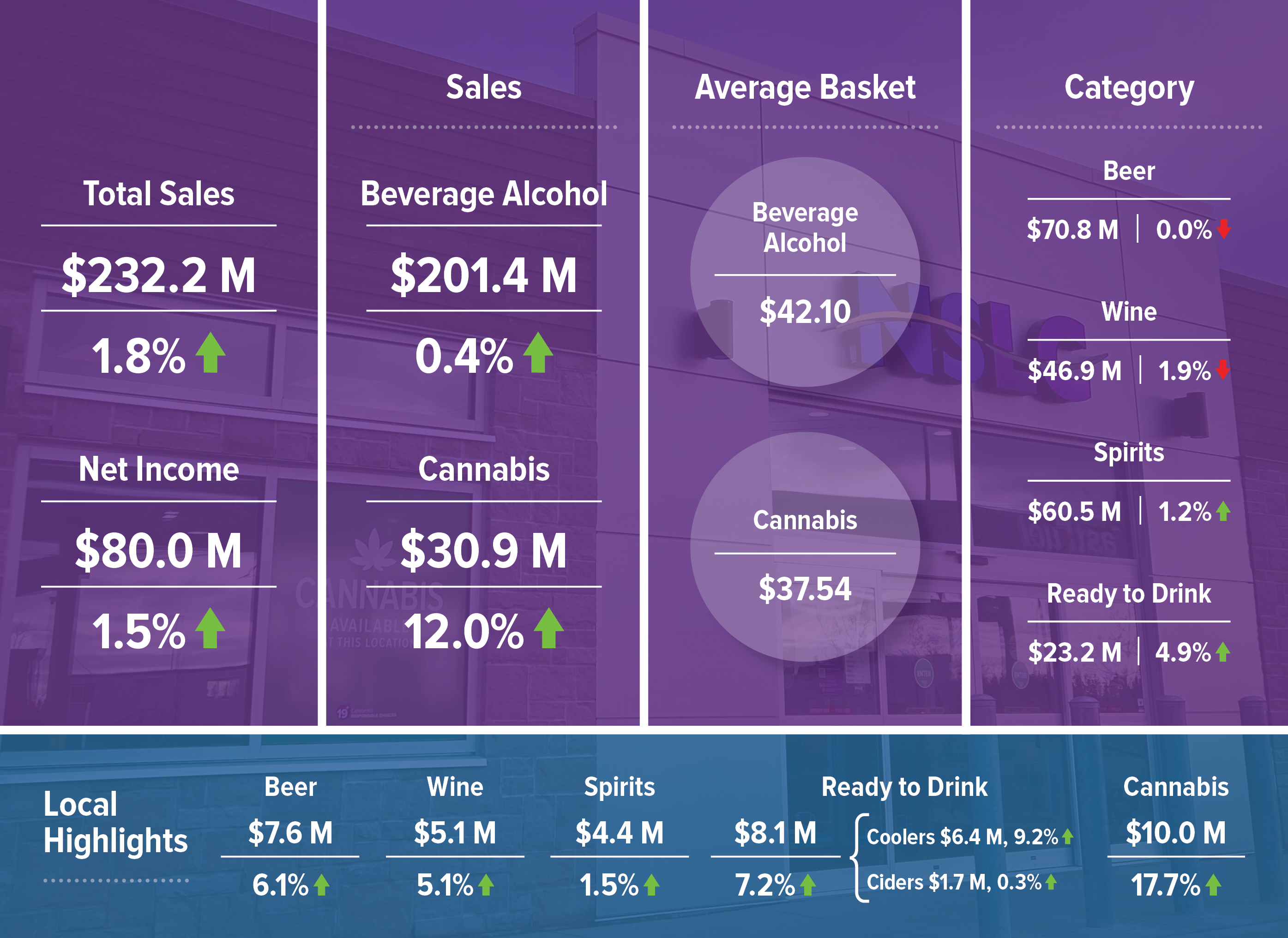 Financial Report Infographic