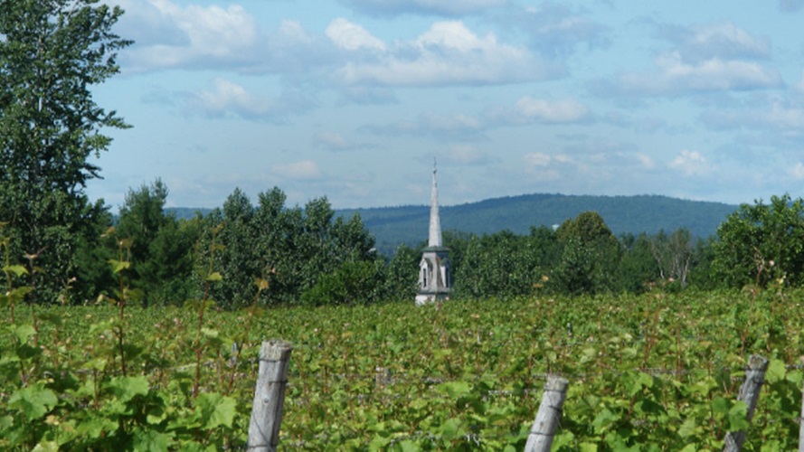 P6 DYT Avondale Sky Wineries