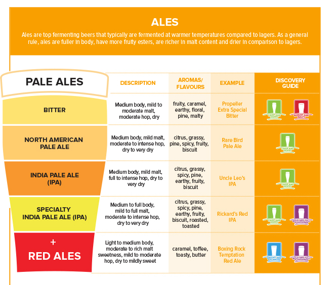World of Beer - Beer 101 Pale Ales