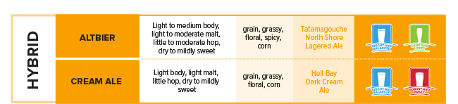 World of Beer - Beer 101 Hybrids