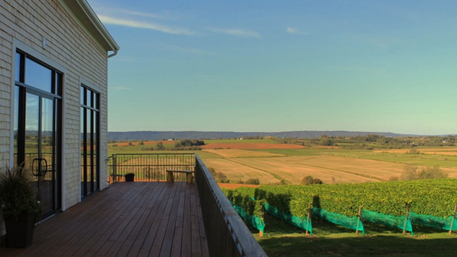 Wine Bios Planters Ridge