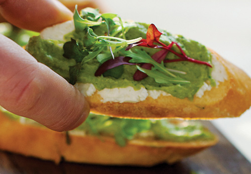 Spring pea, mint and chevre toast points
