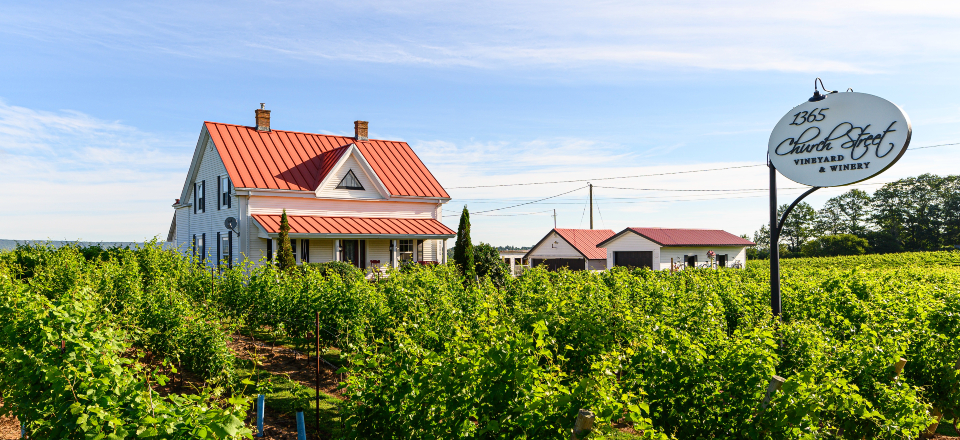 Church St. Winery and Vineyard