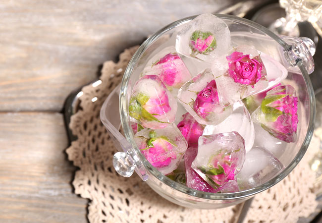 Ice cubes with pink roses frozen in them