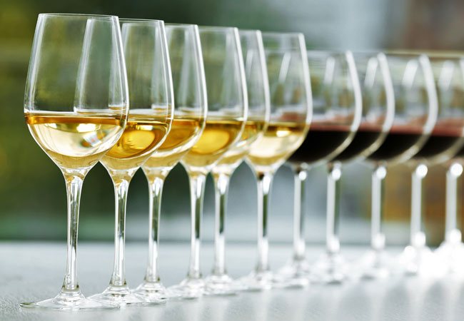 Glasses or red and white Spanish wines lined up along a table in a row