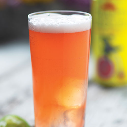 A closeup of an orange drink in a Collins glass with a small foam layer on top.