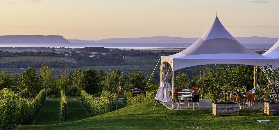 Overlooking Luckett Vineyards with a white tent to the right with a dining area