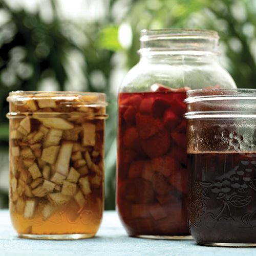 Strawberry Rhubarb Shrub