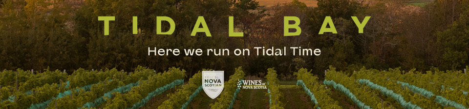 Text that reads: Tidal Bay Here we run on Tidal Time. The background image is a green vineyard