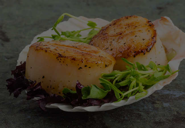 Cold Poached Scallops with Field Greens and Ginger Vinaigrette
