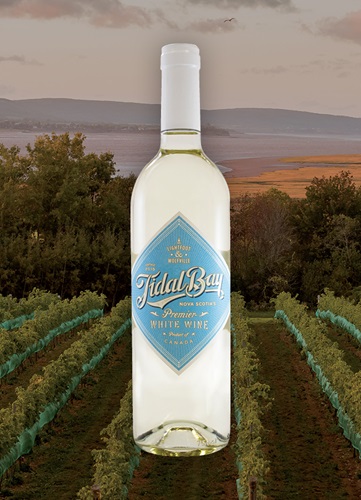 Vinyard overlooking ocean and mountain at dusk with a bottle of Image wine bottle centered.  