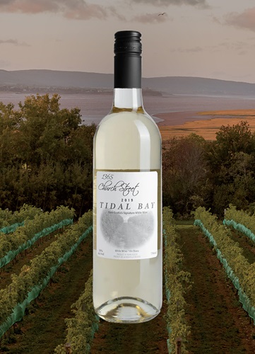 Vinyard overlooking ocean and mountain at dusk with a bottle of Image wine bottle centered.  