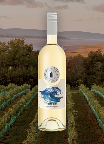 Vinyard overlooking ocean and mountain at dusk with a bottle of Image wine bottle centered.  