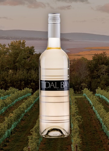 Vinyard overlooking ocean and mountain at dusk with a bottle of Image wine bottle centered.  