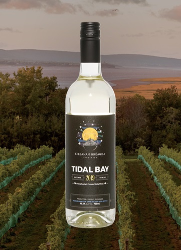 Vinyard overlooking ocean and mountain at dusk with a bottle of Image wine bottle centered.  