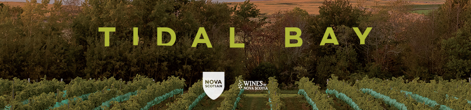 Background of vineyard at dusk with green text 