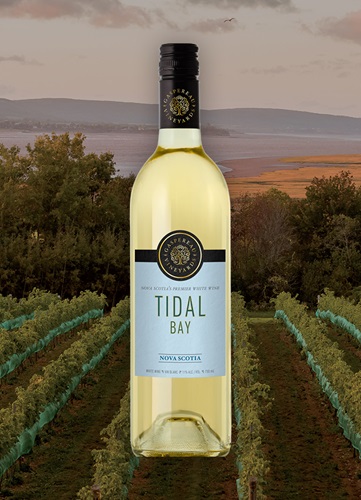 Vinyard overlooking ocean and mountain at dusk with a bottle of Image wine bottle centered.  