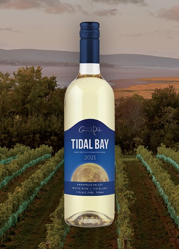 Vinyard overlooking ocean and mountain at dusk with a bottle of Image wine bottle centered.  