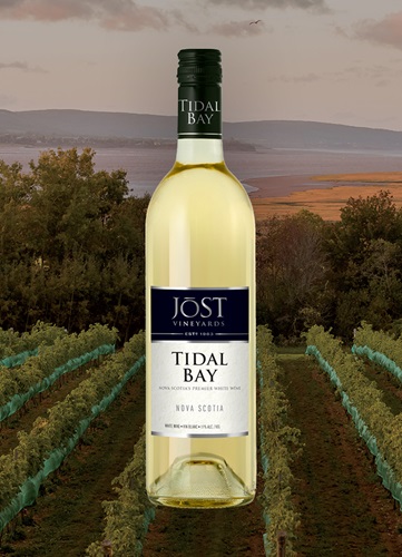 Vinyard overlooking ocean and mountain at dusk with a bottle of Image wine bottle centered.  