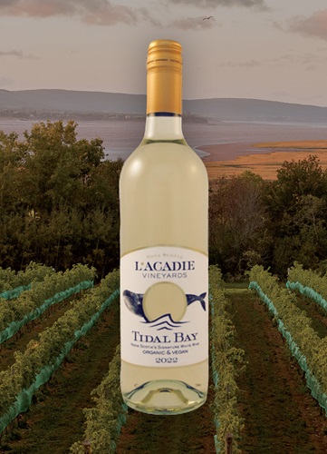 Vinyard overlooking ocean and mountain at dusk with a bottle of Image wine bottle centered.  