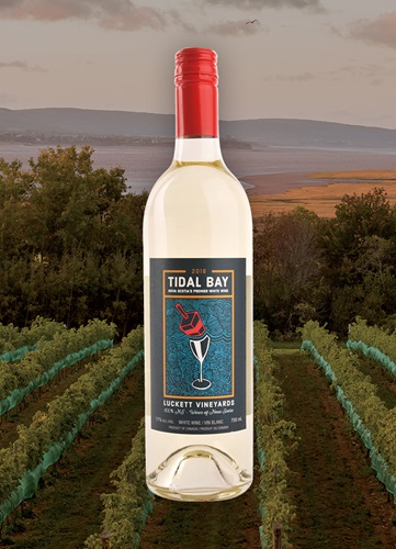 Vinyard overlooking ocean and mountain at dusk with a bottle of Image wine bottle centered.  