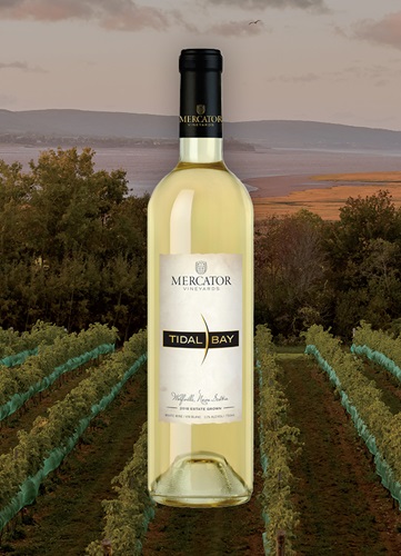 Vinyard overlooking ocean and mountain at dusk with a bottle of Image wine bottle centered.  