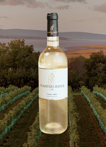 Vinyard overlooking ocean and mountain at dusk with a bottle of Image wine bottle centered.  