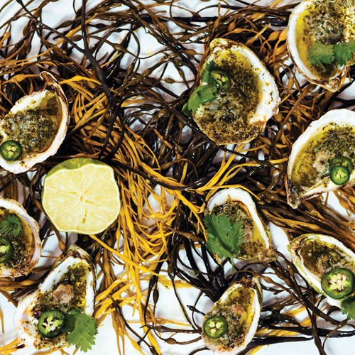 Grilled Oysters with Jalapeno Honey Butter