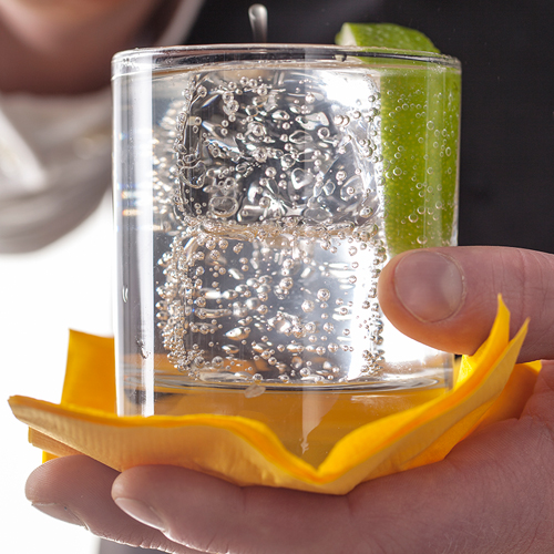 Gin & Tonic
