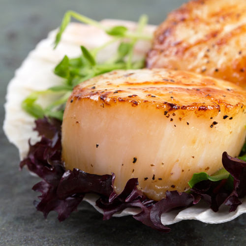 Cold Poached Scallops with Field Greens and Ginger Vinaigrette